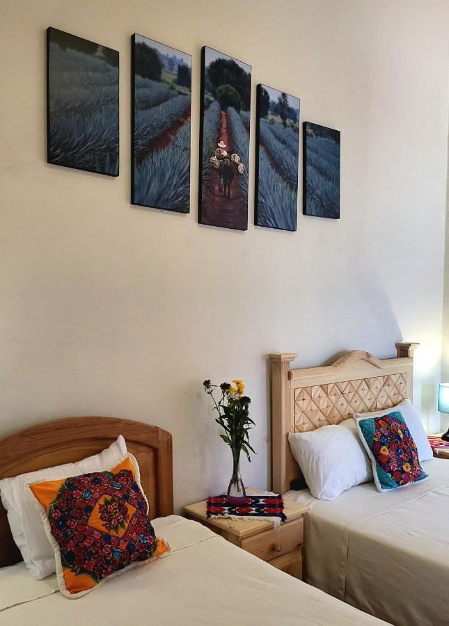 Casa Los Arquitos B&B Oaxaca Εξωτερικό φωτογραφία